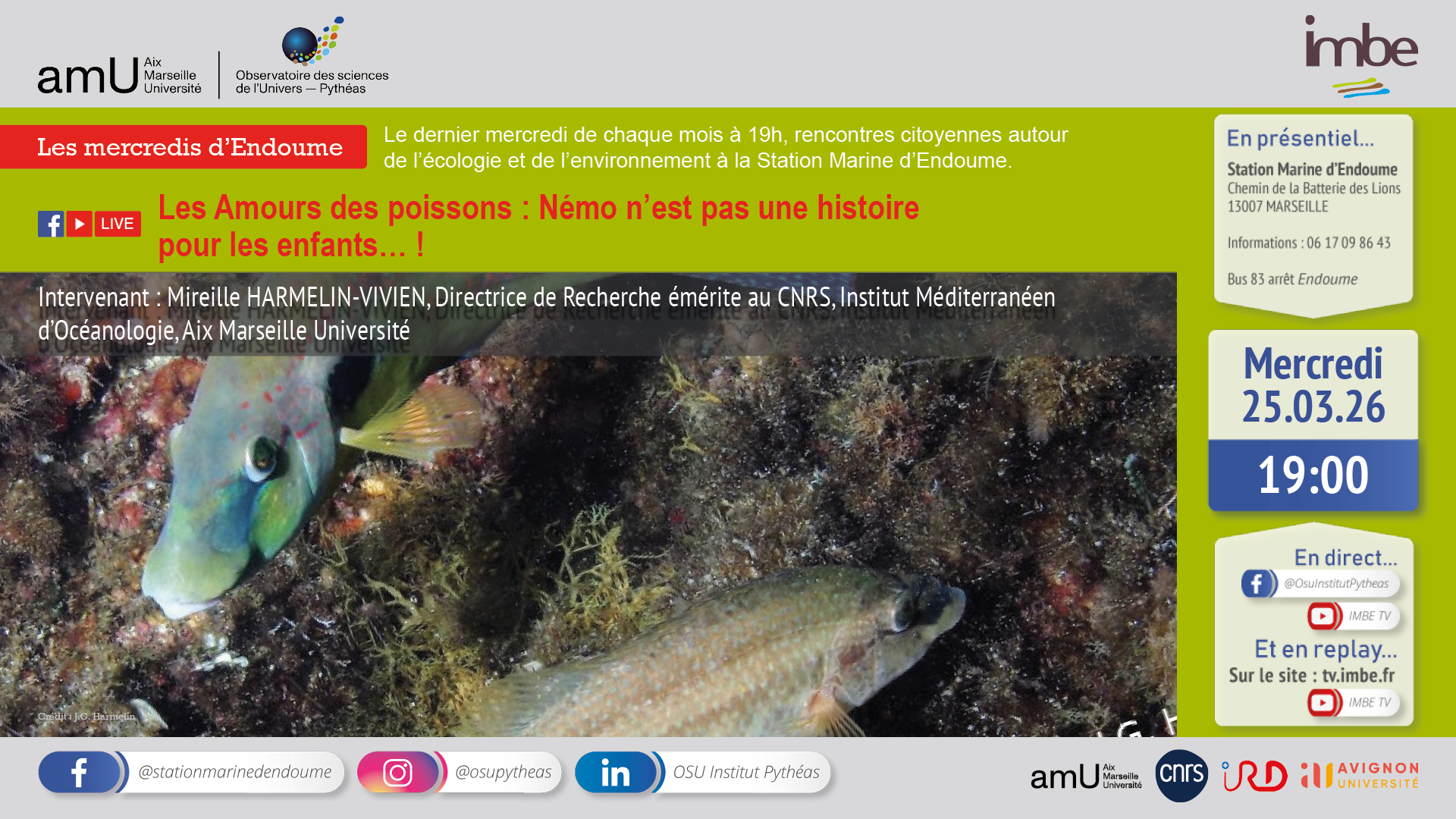 Les Amours des poissons : Némo n’est pas une histoire pour les enfants… !